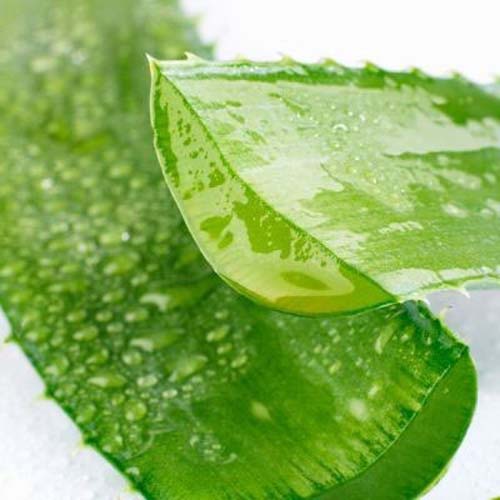 CÔNG TY TNHH KỸ THUẬT ĐIỆN TNTC