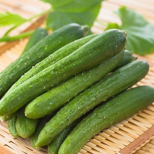 CÔNG TY TNHH KỸ THUẬT ĐIỆN TNTC