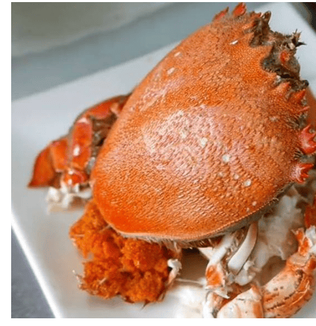 CÔNG TY TNHH KỸ THUẬT ĐIỆN TNTC