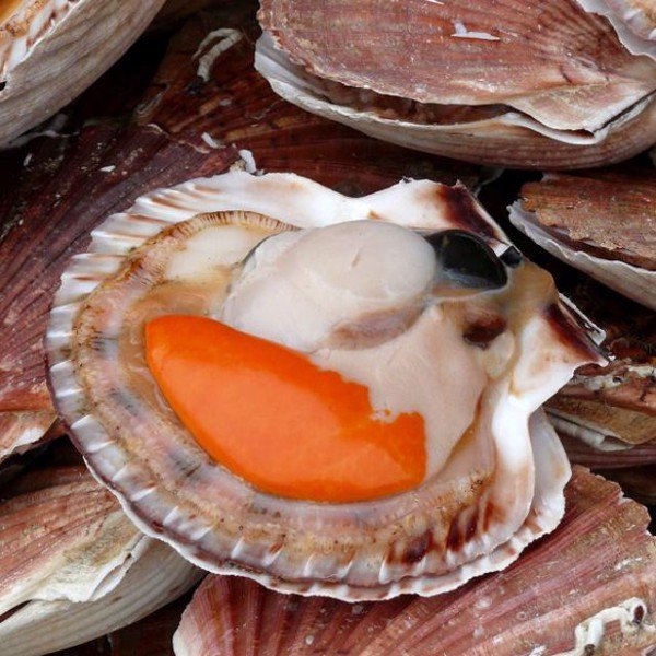 CÔNG TY TNHH KỸ THUẬT ĐIỆN TNTC