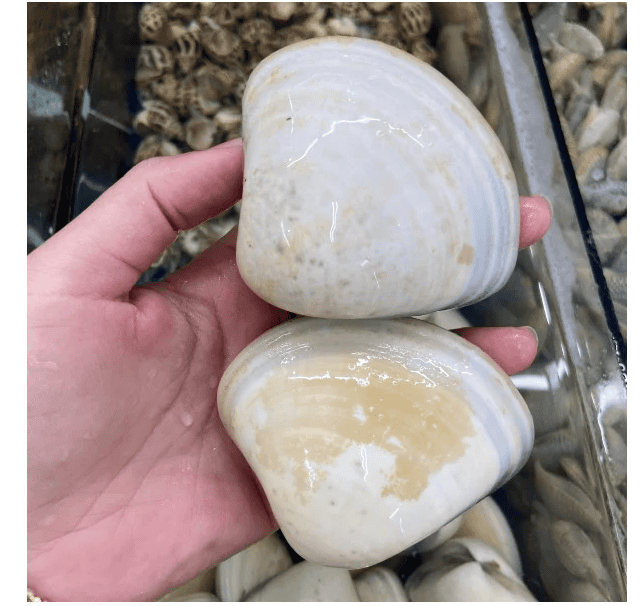 CÔNG TY TNHH KỸ THUẬT ĐIỆN TNTC