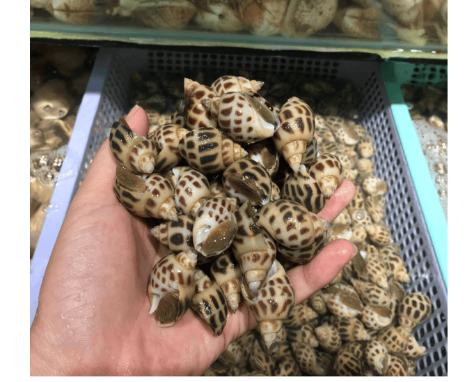 CÔNG TY TNHH KỸ THUẬT ĐIỆN TNTC