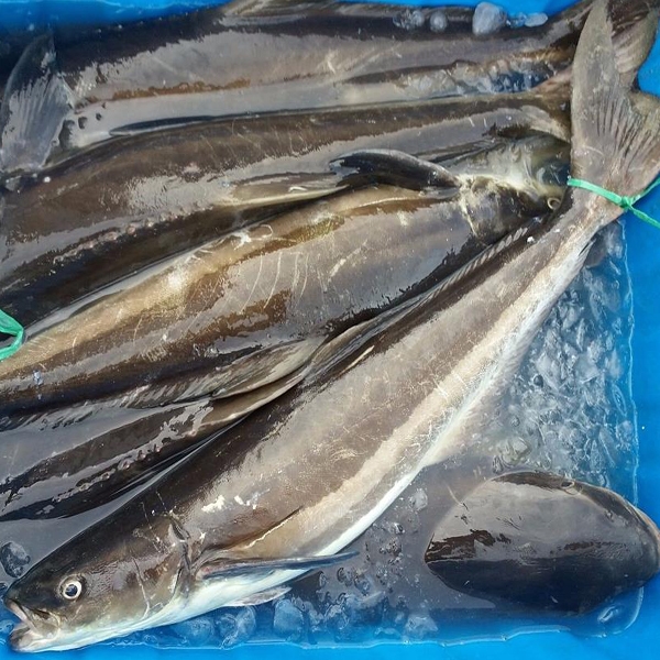 CÔNG TY TNHH KỸ THUẬT ĐIỆN TNTC