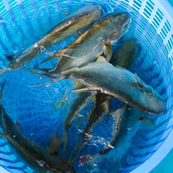 CÔNG TY TNHH KỸ THUẬT ĐIỆN TNTC