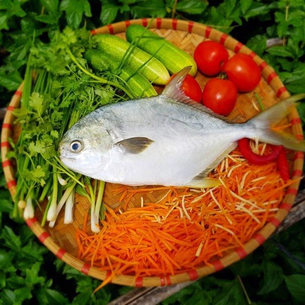 CÔNG TY TNHH KỸ THUẬT ĐIỆN TNTC
