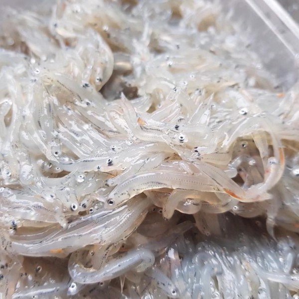 CÔNG TY TNHH KỸ THUẬT ĐIỆN TNTC