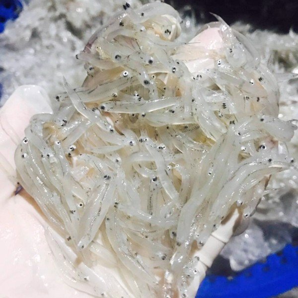 CÔNG TY TNHH KỸ THUẬT ĐIỆN TNTC