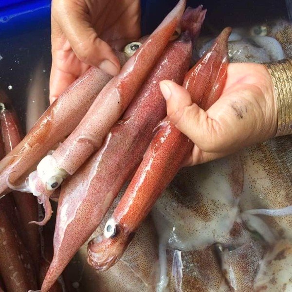 CÔNG TY TNHH KỸ THUẬT ĐIỆN TNTC