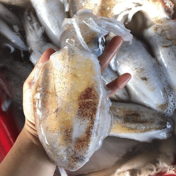 CÔNG TY TNHH KỸ THUẬT ĐIỆN TNTC