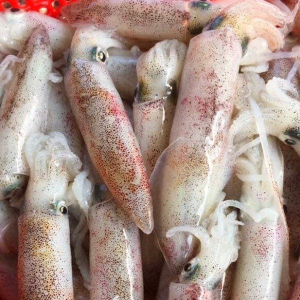 CÔNG TY TNHH KỸ THUẬT ĐIỆN TNTC