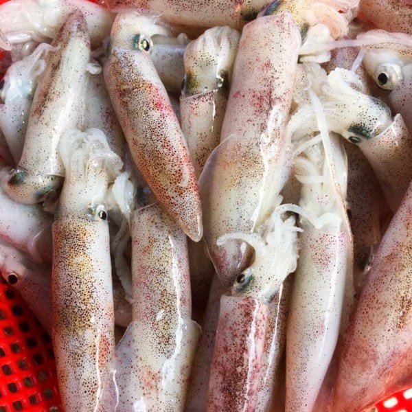 CÔNG TY TNHH KỸ THUẬT ĐIỆN TNTC
