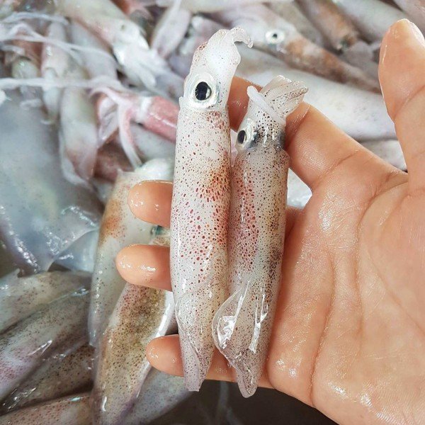 CÔNG TY TNHH KỸ THUẬT ĐIỆN TNTC