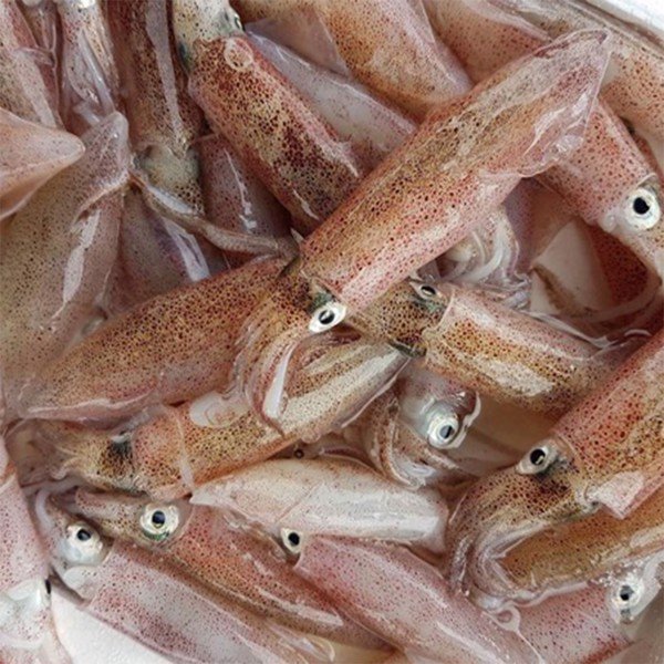 CÔNG TY TNHH KỸ THUẬT ĐIỆN TNTC