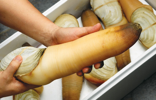 CÔNG TY TNHH KỸ THUẬT ĐIỆN TNTC