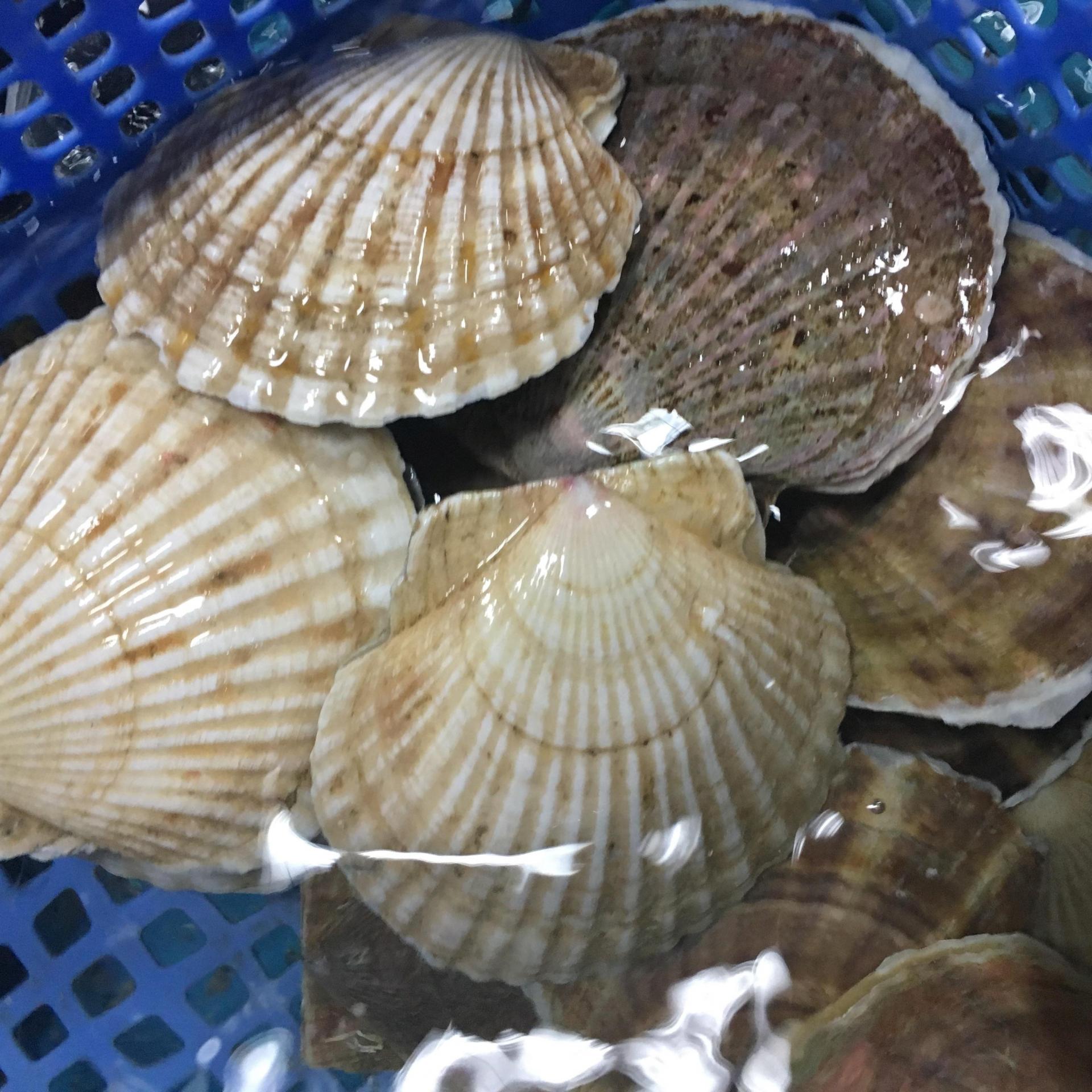 CÔNG TY TNHH KỸ THUẬT ĐIỆN TNTC