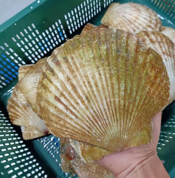 CÔNG TY TNHH KỸ THUẬT ĐIỆN TNTC
