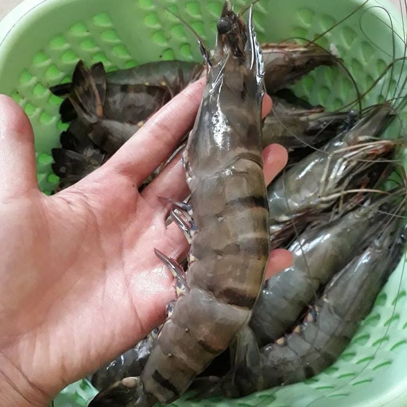 CÔNG TY TNHH KỸ THUẬT ĐIỆN TNTC