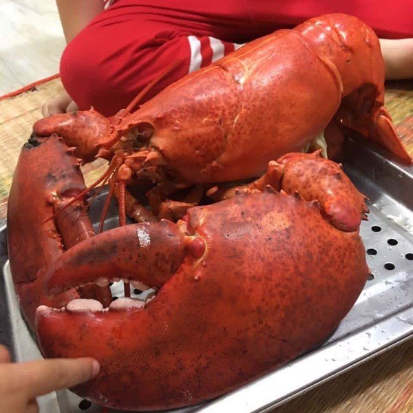 CÔNG TY TNHH KỸ THUẬT ĐIỆN TNTC