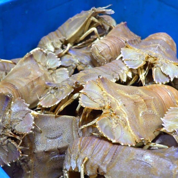 CÔNG TY TNHH KỸ THUẬT ĐIỆN TNTC