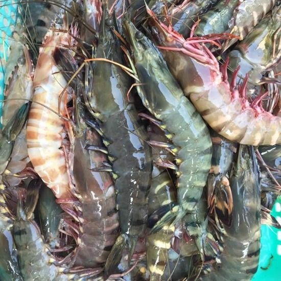 CÔNG TY TNHH KỸ THUẬT ĐIỆN TNTC