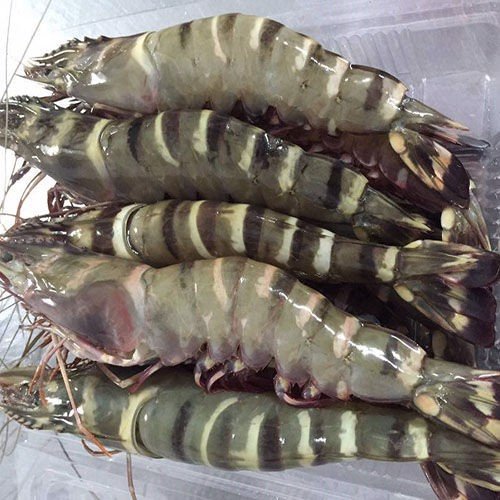 CÔNG TY TNHH KỸ THUẬT ĐIỆN TNTC