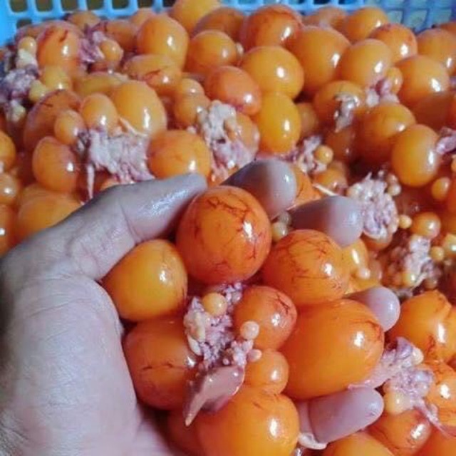 CÔNG TY TNHH KỸ THUẬT ĐIỆN TNTC