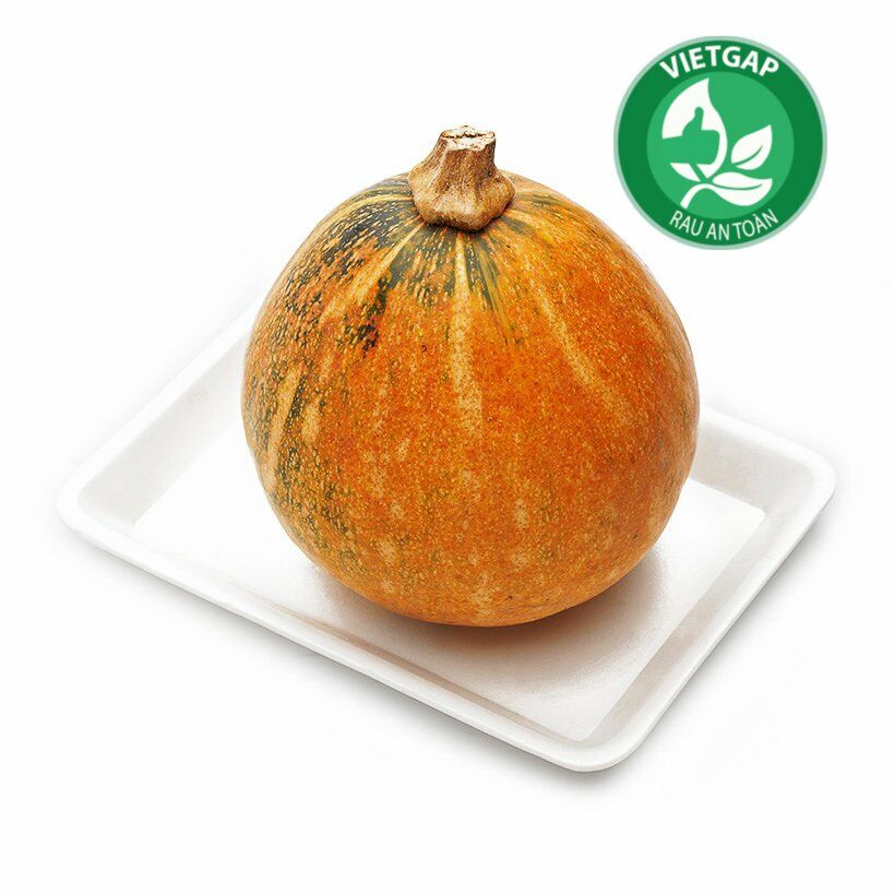 CÔNG TY TNHH KỸ THUẬT ĐIỆN TNTC
