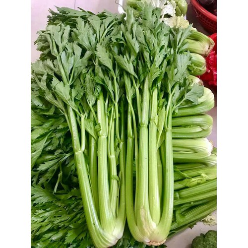 CÔNG TY TNHH KỸ THUẬT ĐIỆN TNTC