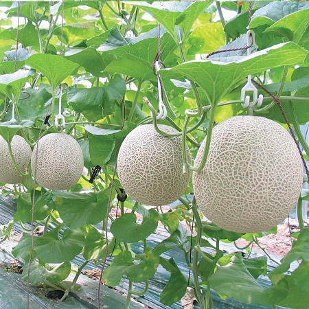 CÔNG TY TNHH KỸ THUẬT ĐIỆN TNTC