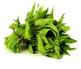 CÔNG TY TNHH KỸ THUẬT ĐIỆN TNTC