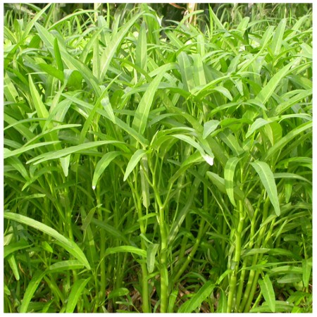 CÔNG TY TNHH KỸ THUẬT ĐIỆN TNTC