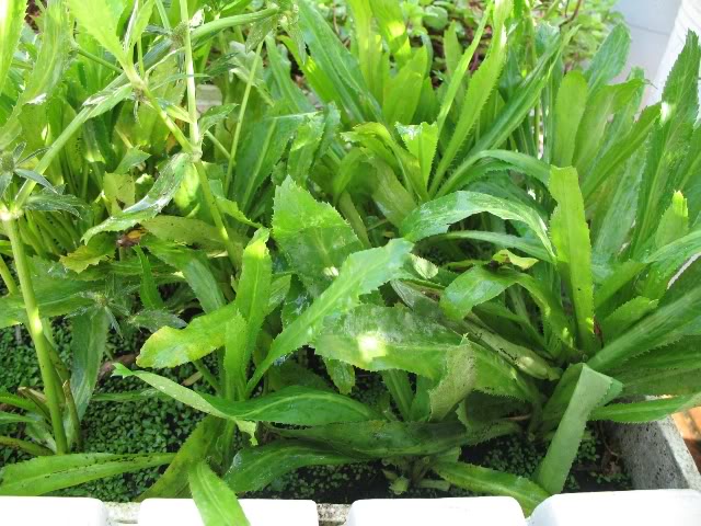 CÔNG TY TNHH KỸ THUẬT ĐIỆN TNTC